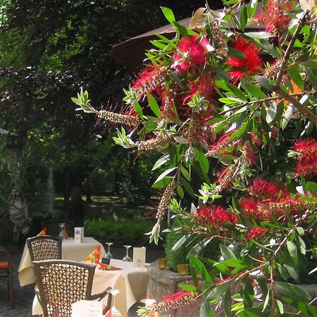 Landidyll Wilminks Parkhotel Neuenkirchen  المظهر الخارجي الصورة