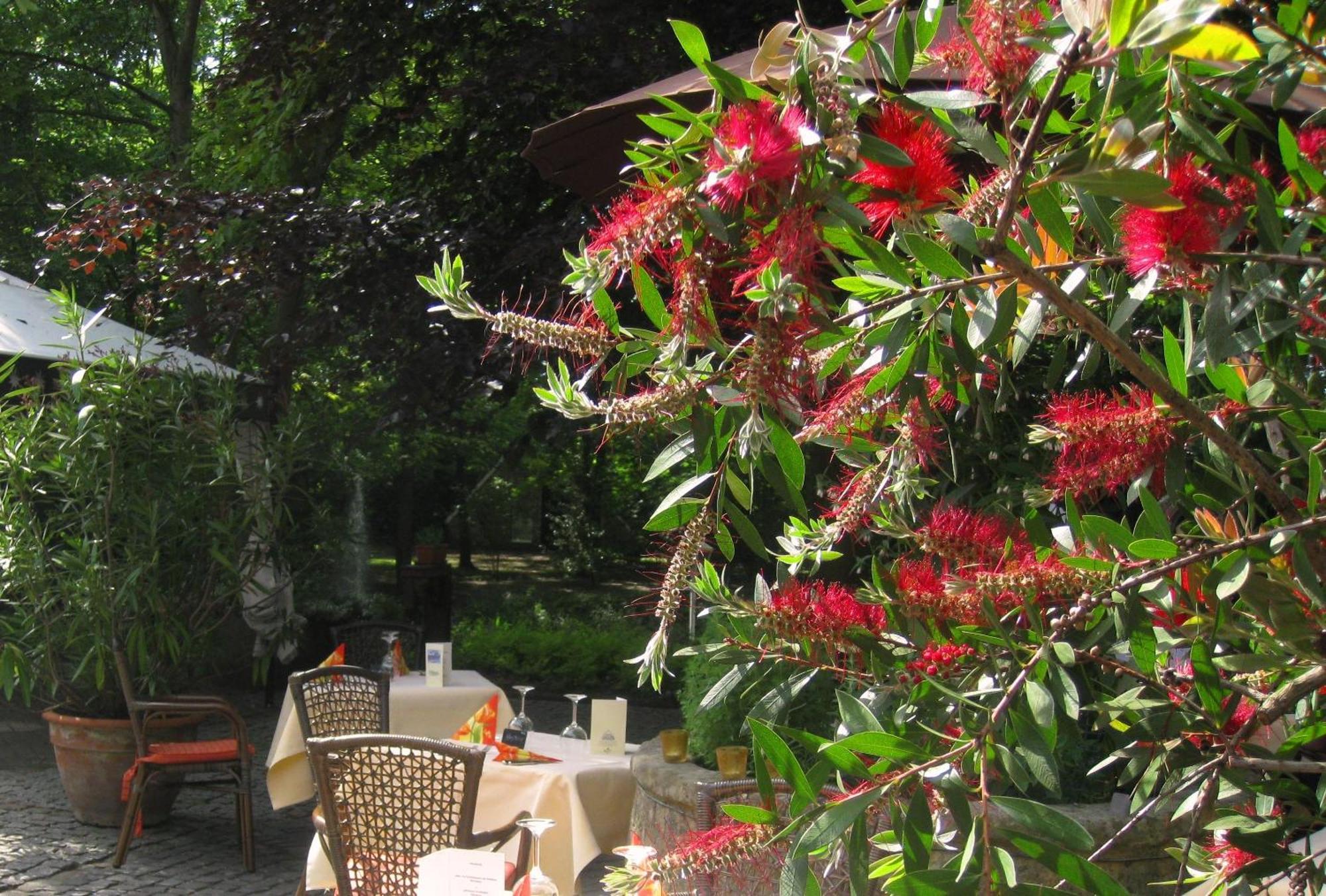 Landidyll Wilminks Parkhotel Neuenkirchen  المظهر الخارجي الصورة